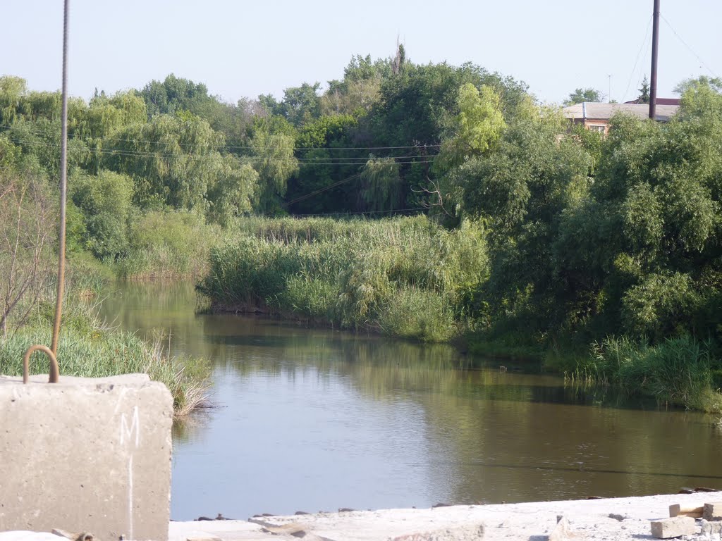 Река Большой Несветай.Вид с ремонтируемого моста.03.07.2010 г.