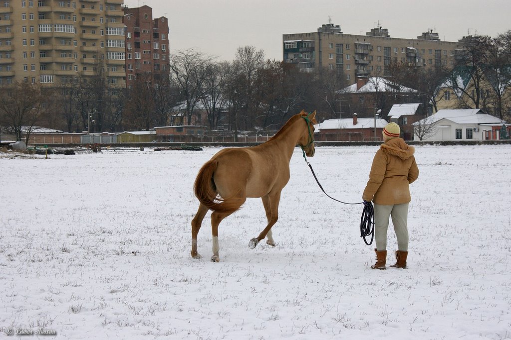 On the Rostovs hippodrome