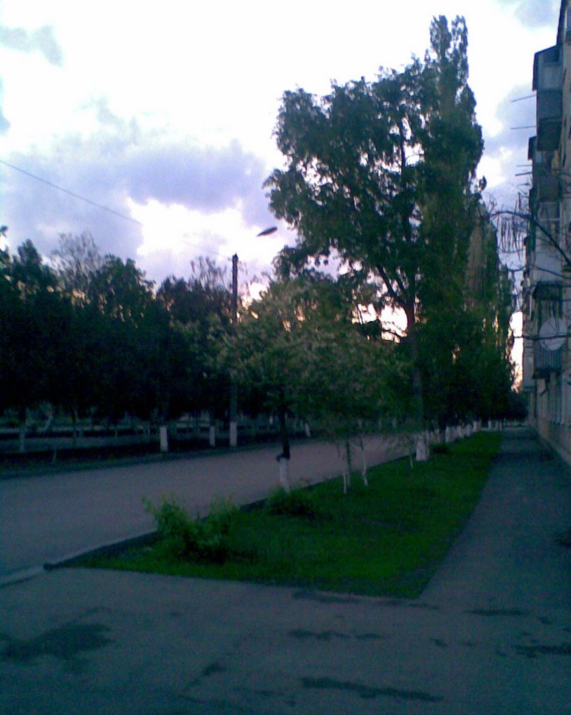 Аллея, ул. Ленина, д. 44