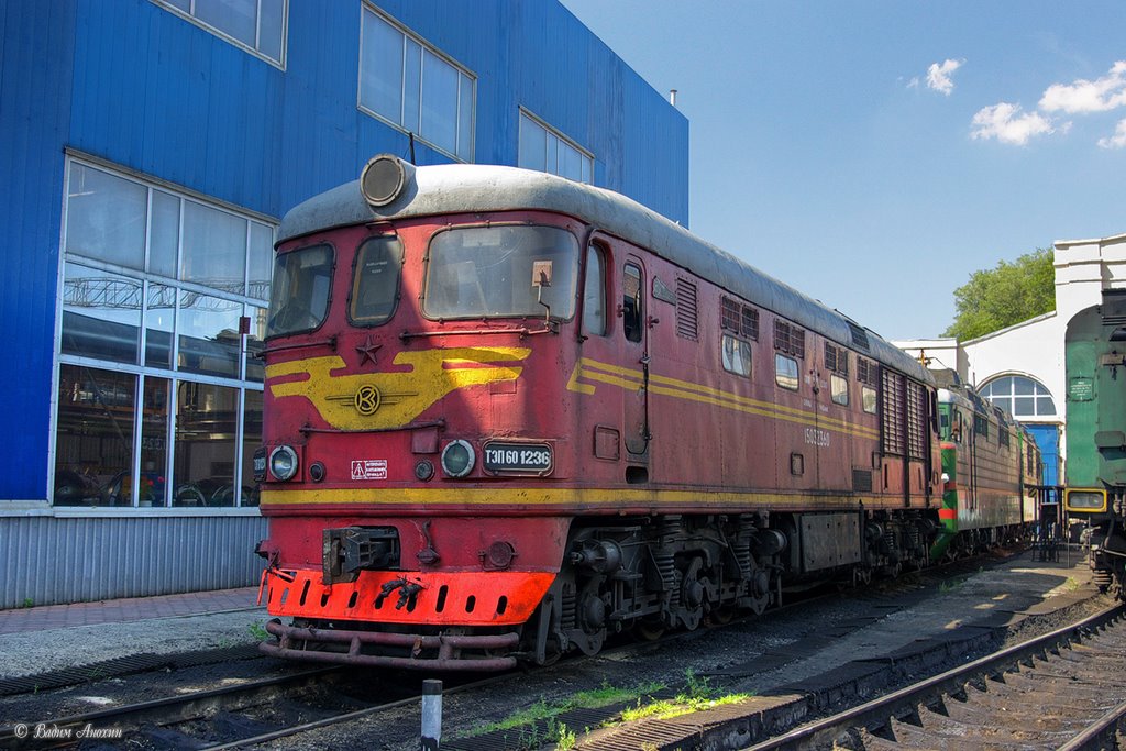 Diesel locomotive TEP60-1236 near the depot of train station Salsk