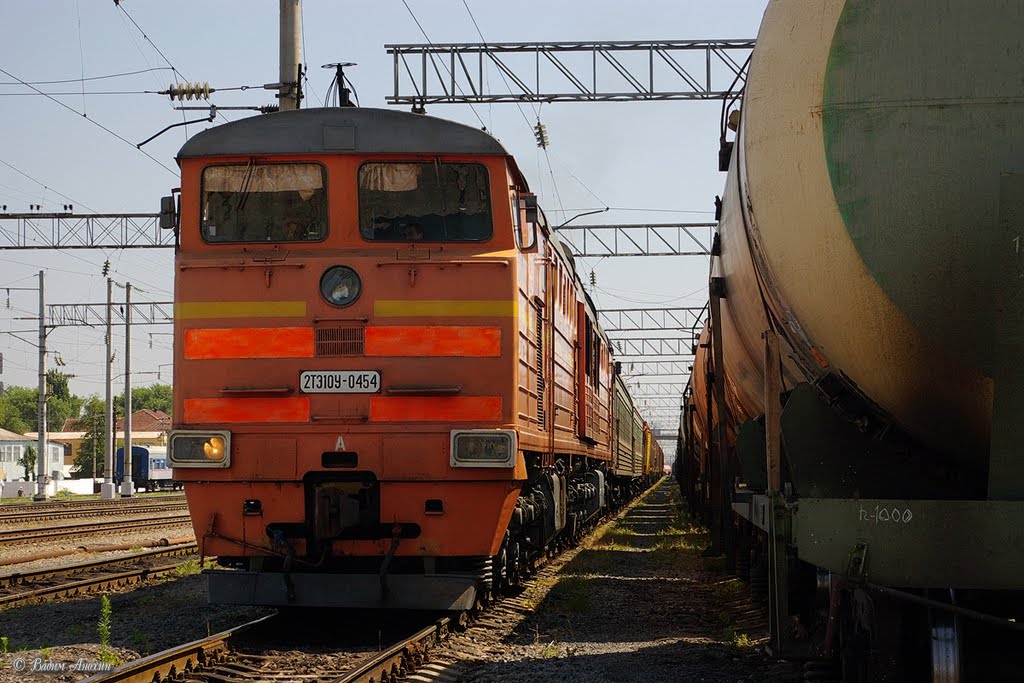 Diesel locomotive 2TE10U-0454 with train