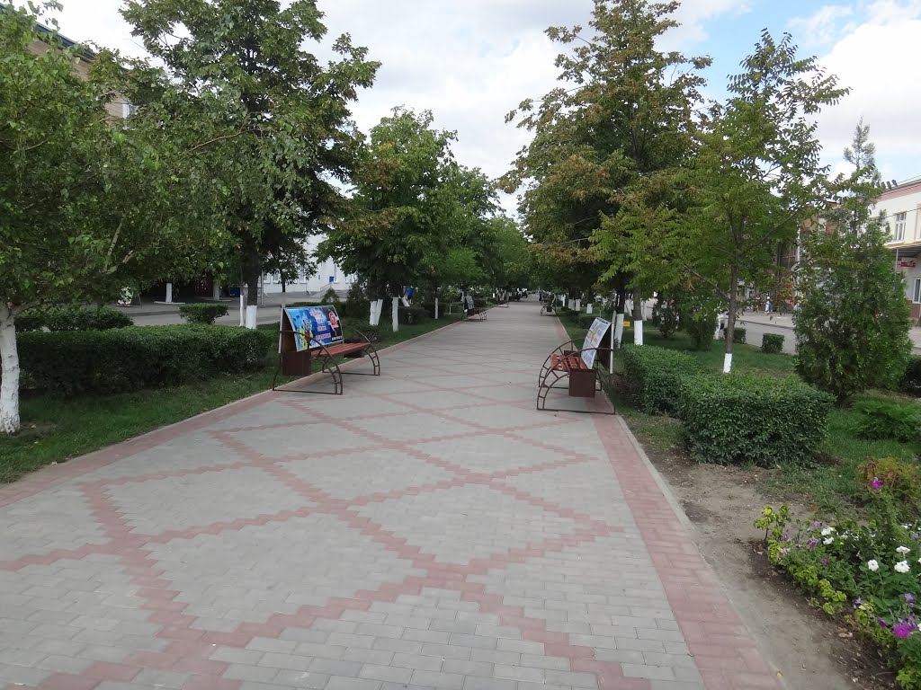 Аллея по улице Ленина