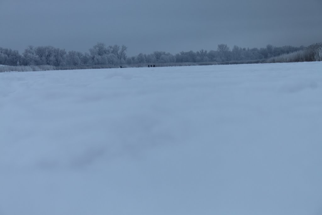 На Старом Дону.
