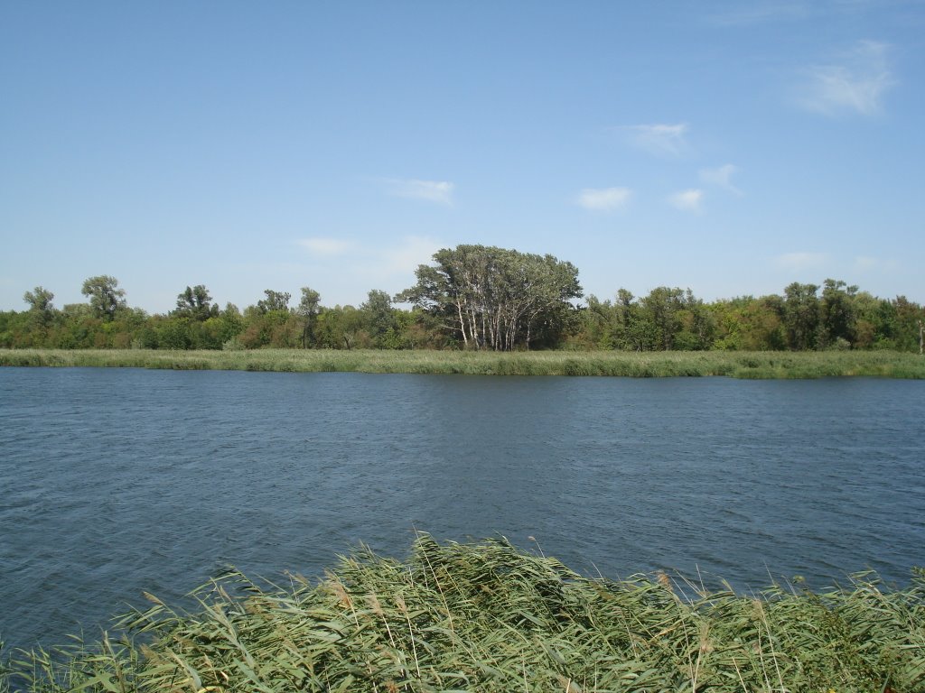 озеро Старый Дон гор.Семикаракорск 20.08.2007г.