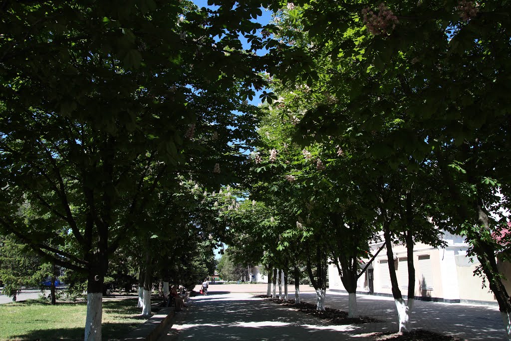 Аллея