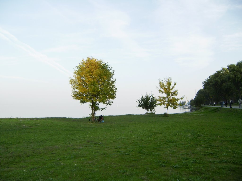 Tree on coast of sea of Azov/ Дерево на берегу Азовского моря