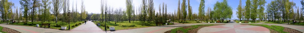 Панорама Пушкинской набережной.
