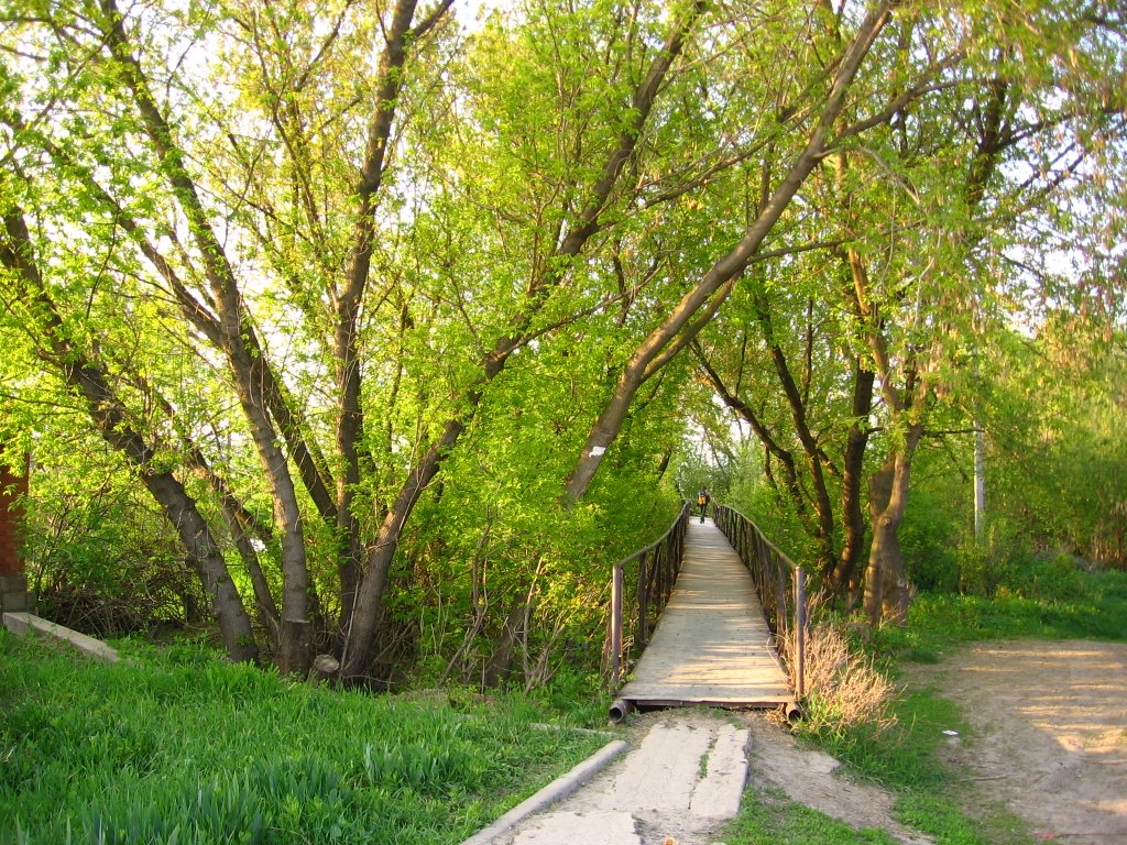 Bridge