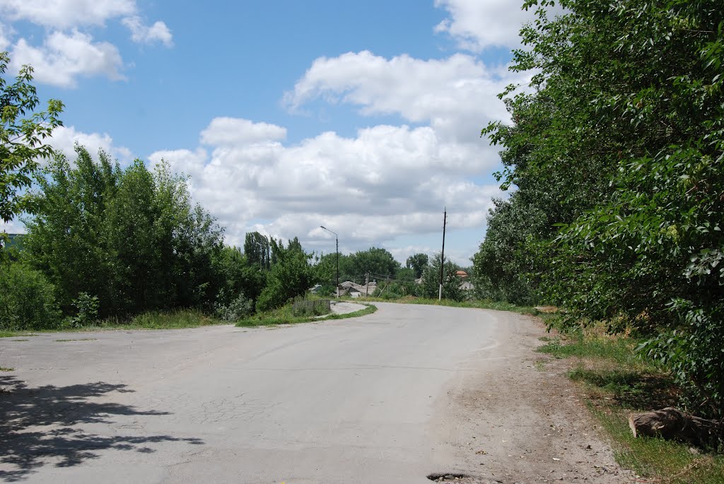 Дорога вдоль пруда