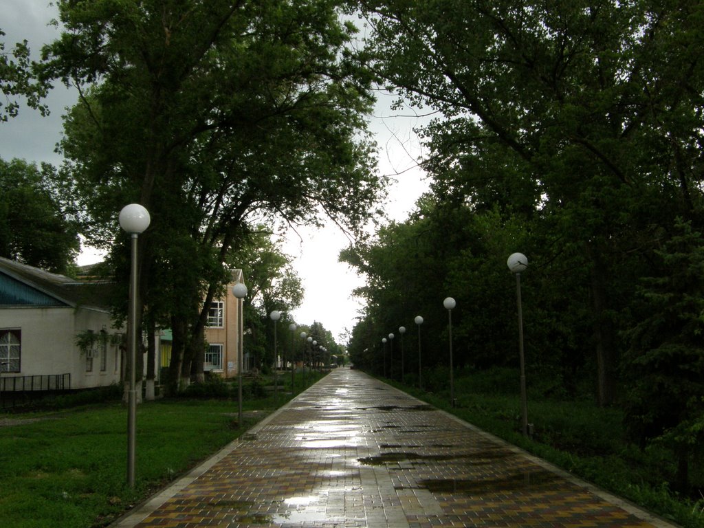 2 линия / the second line