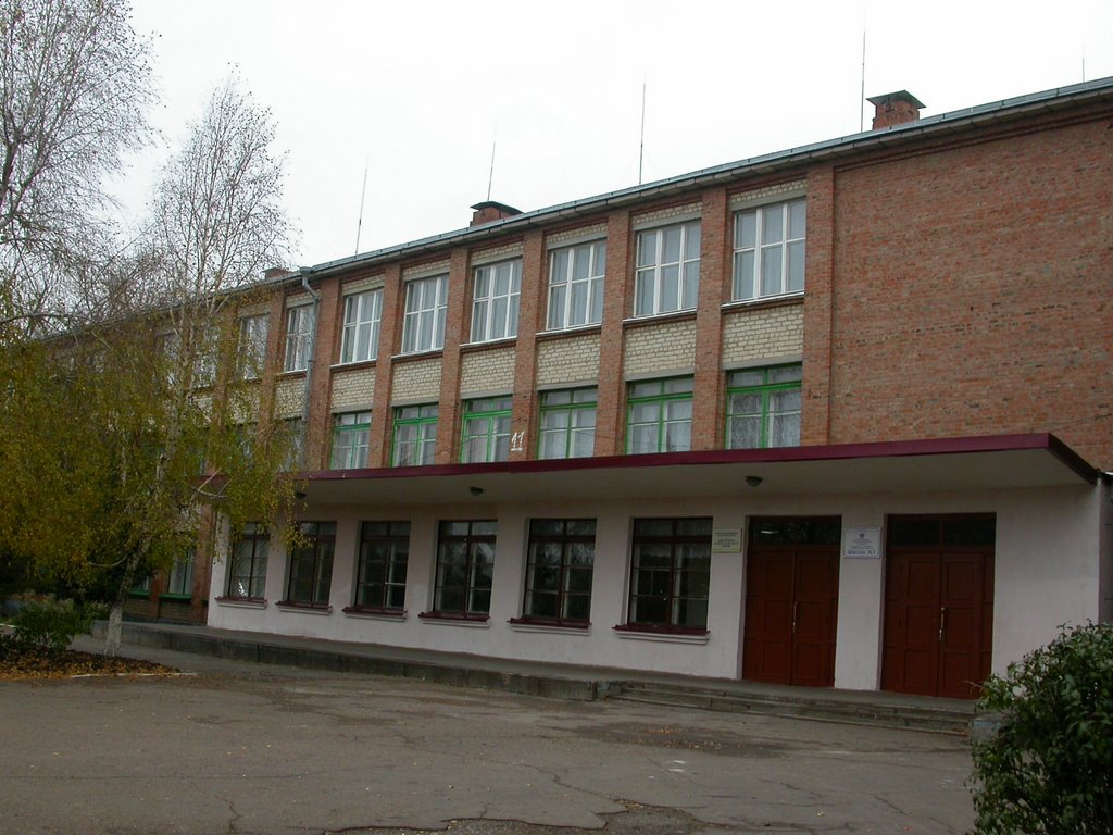 Целинская средняя школа №1 / the school №1