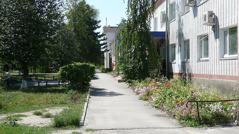 Стоматология