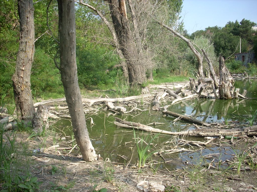 Ландшафт 3