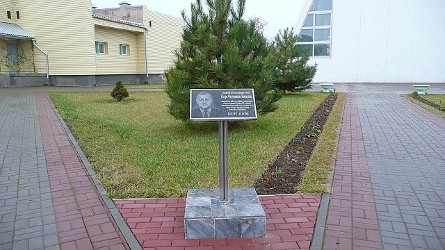 Спортивная Школа