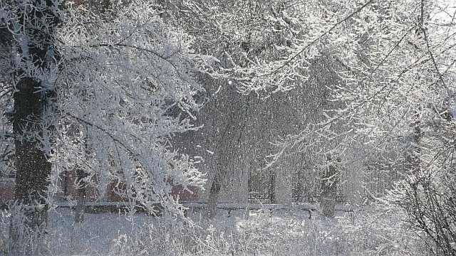 Новогодняя сказка