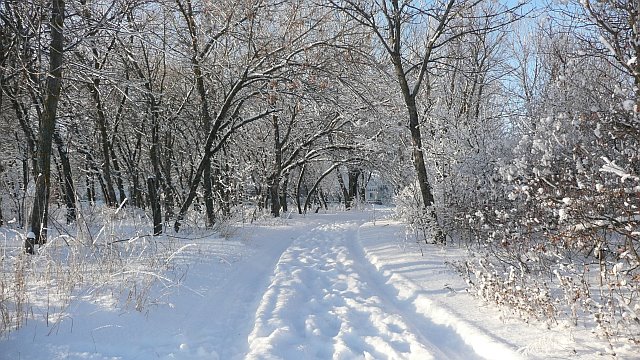 Приморский парк в сугробах