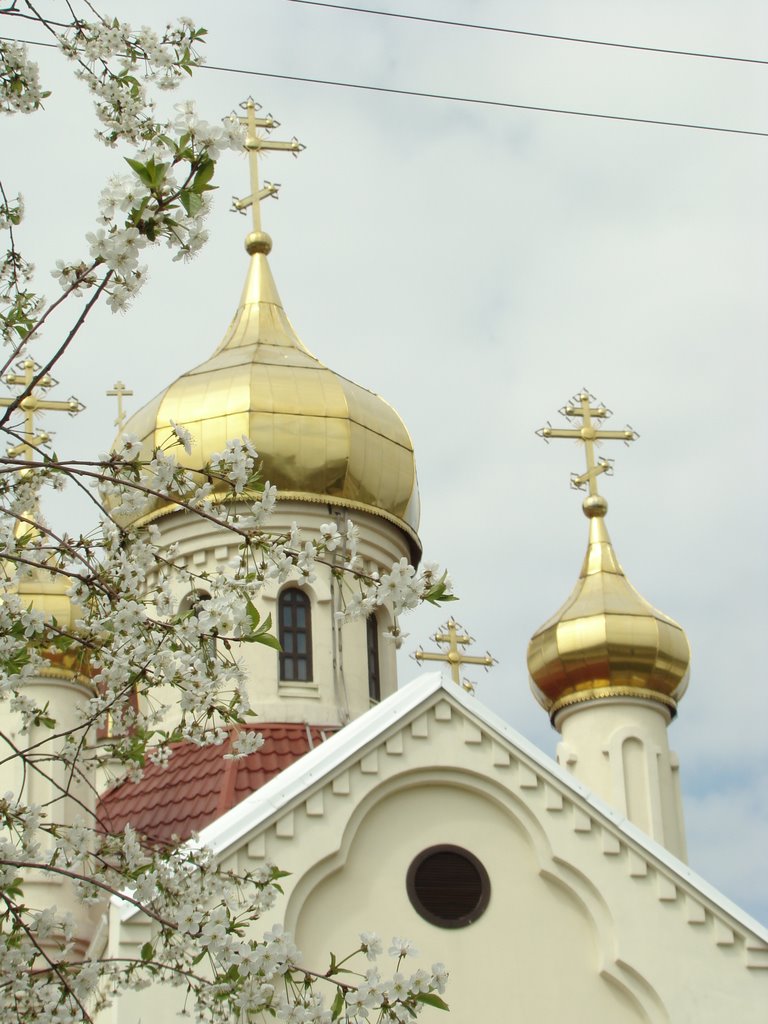 Свято-Никольский Храм
