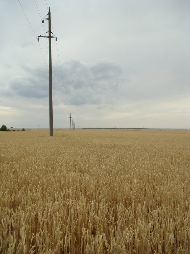 Хлеб.