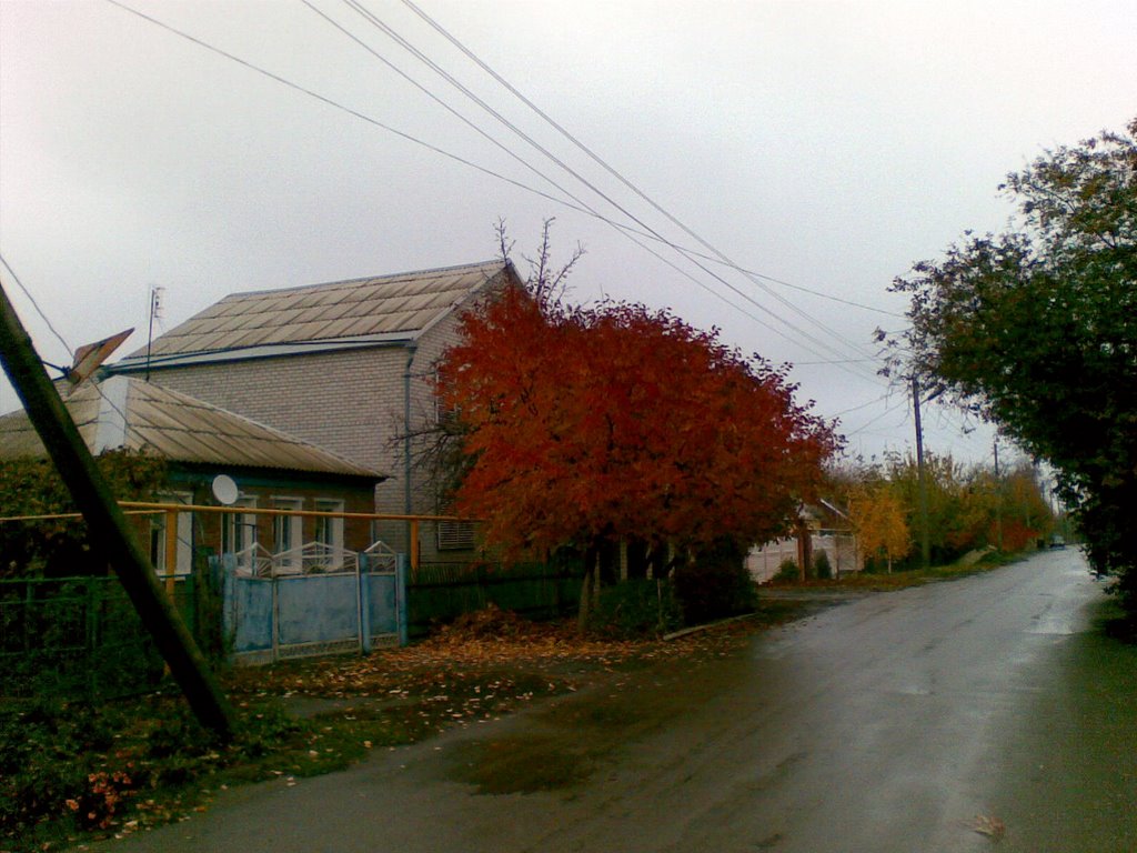 Цимлянск.