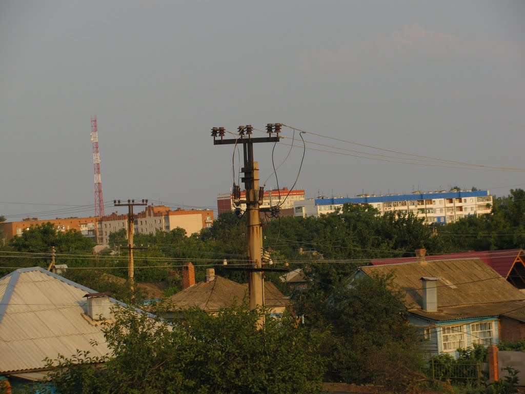 лето в цимлянске