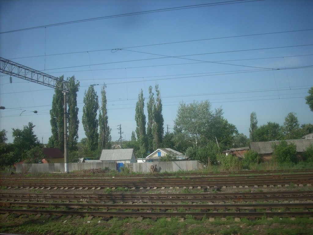 Пирамидальные тополя, Меловое