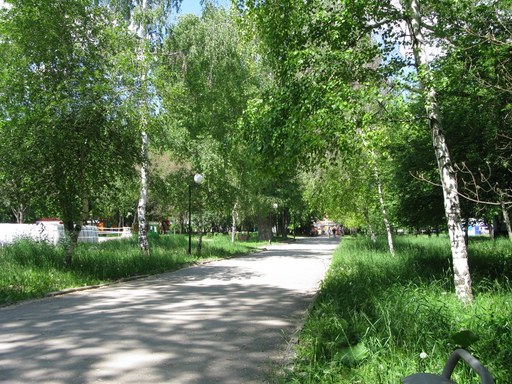 Центральный Парк Культуры и Отдыха