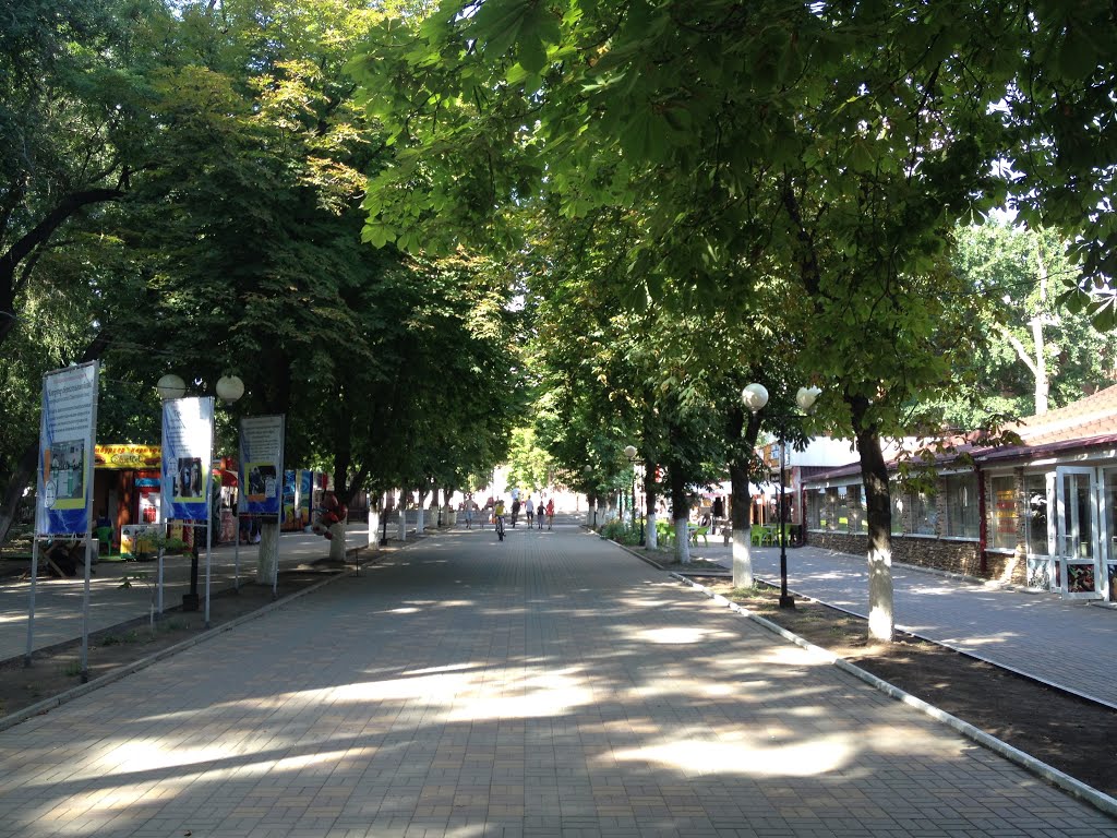 в парке