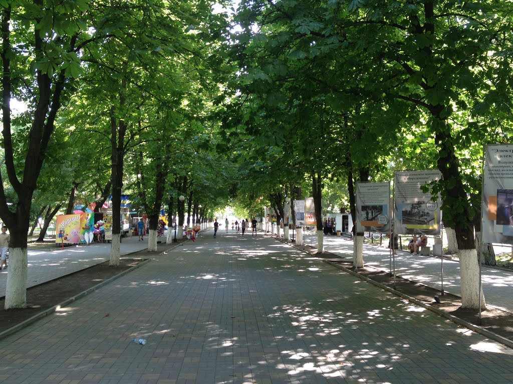 в парке