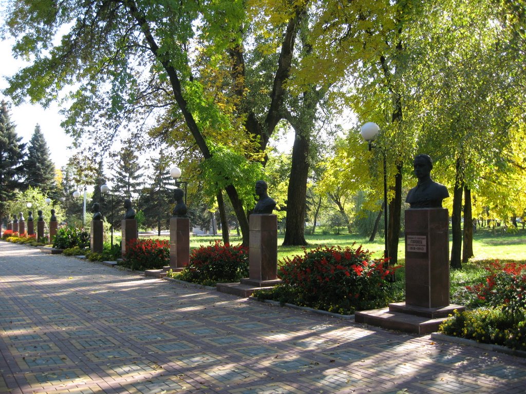 Glory Avenue (in the Central Park)