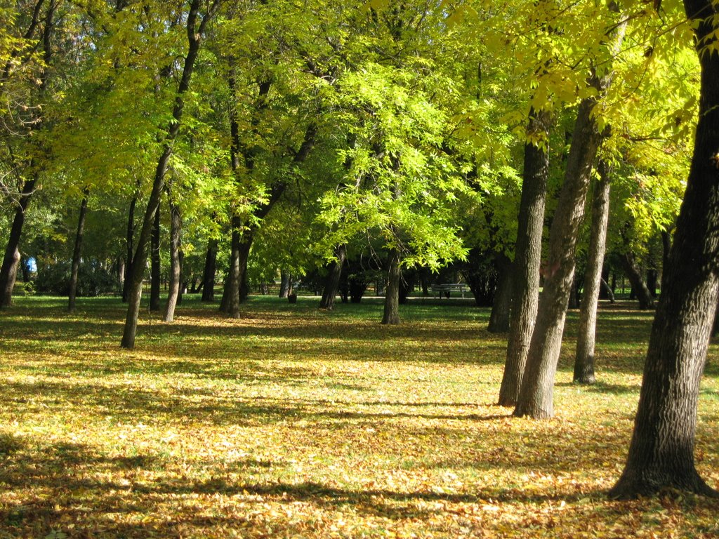 autumnal park