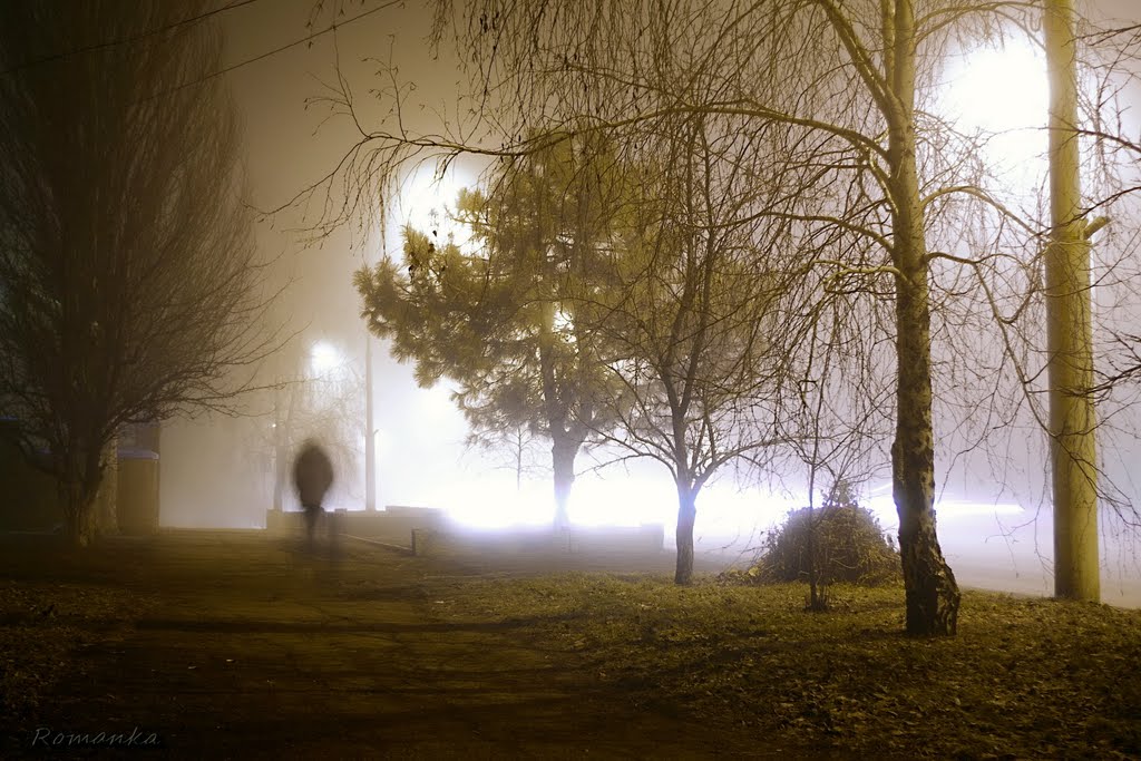 the fog in December