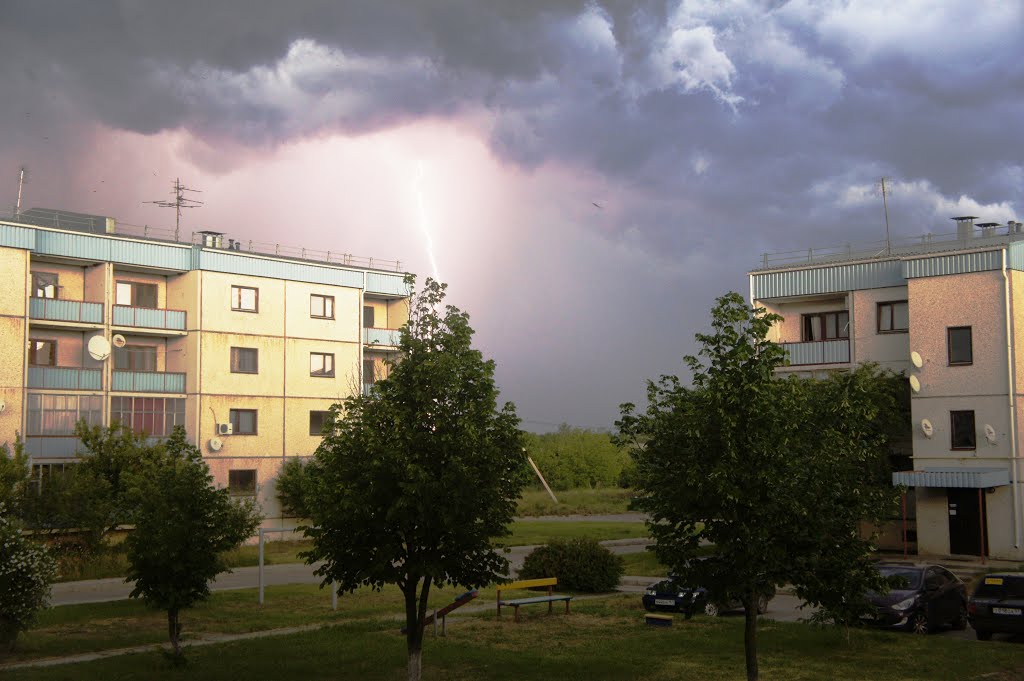 SONY DSC