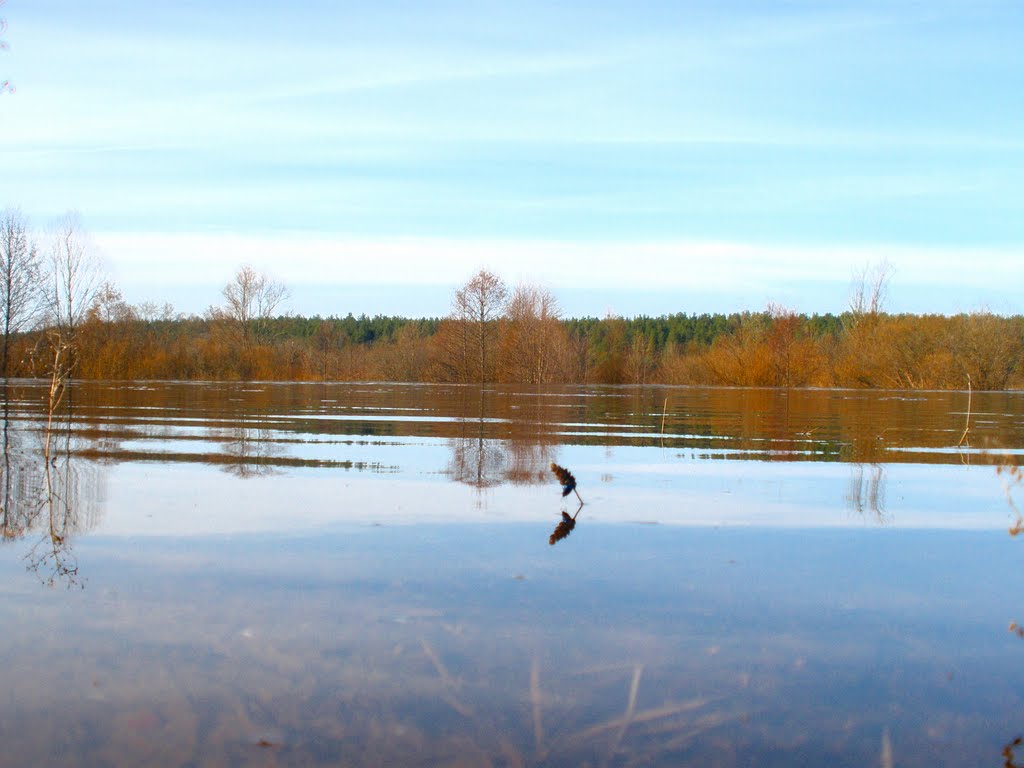 Разлив -2010г.