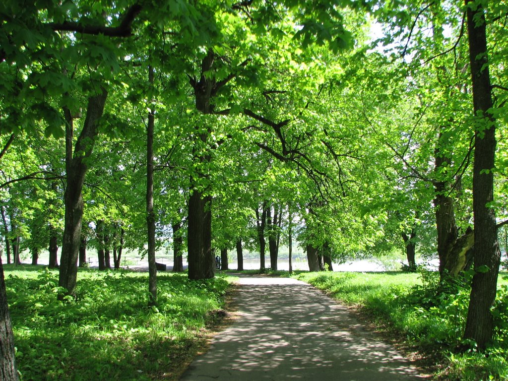 Елатьма. Парк.