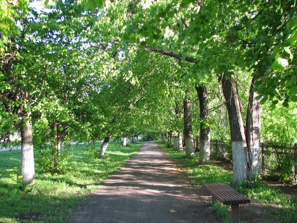 Елатьма. Аллея.