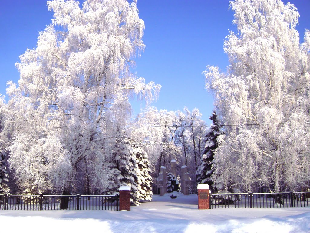 Парк зимой