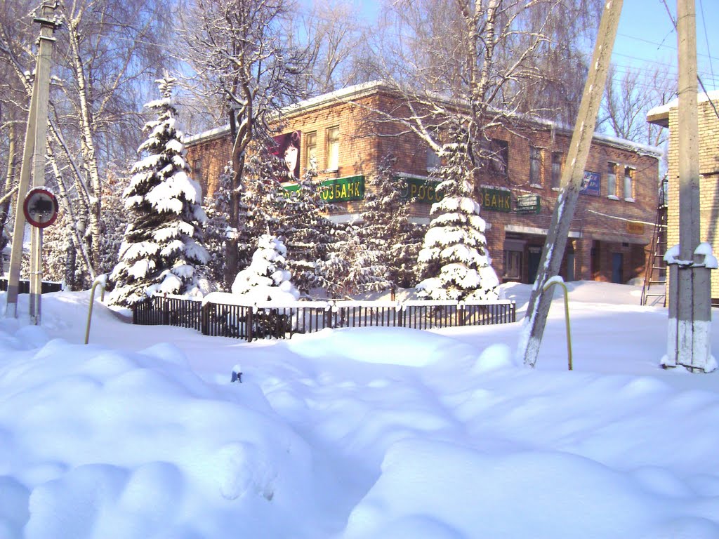 Зима 2011
