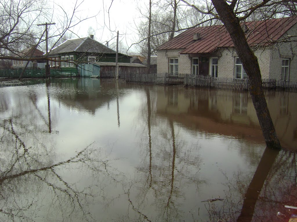 семенная станция
