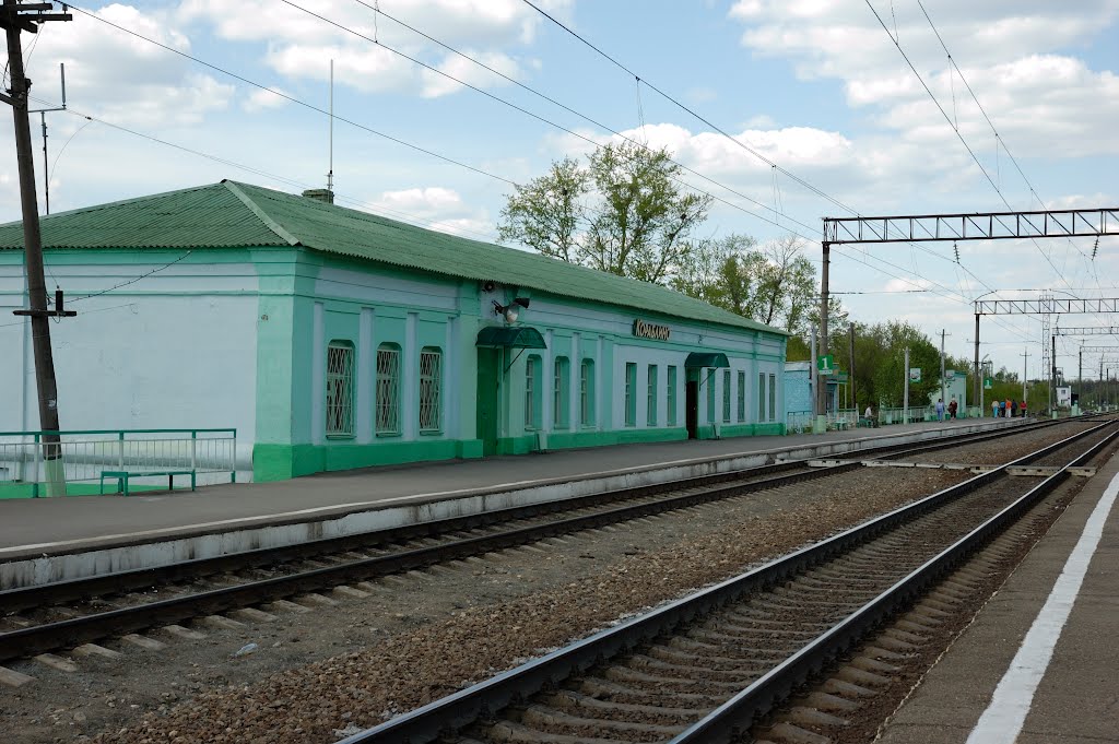 Вокзал г. Кораблино 09.05.2009.