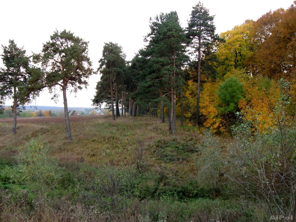 Милославское