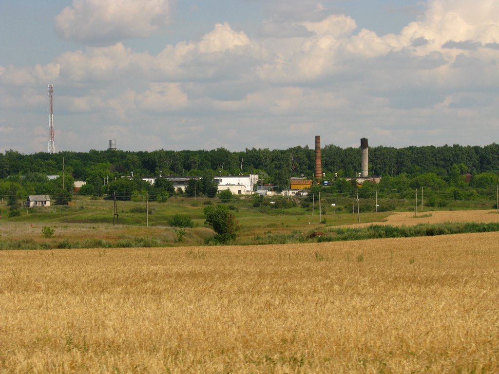 Милославское (2009 г.)