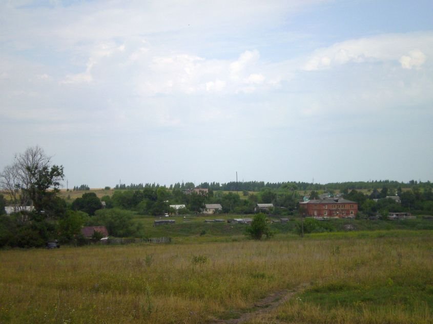 Милославские виды