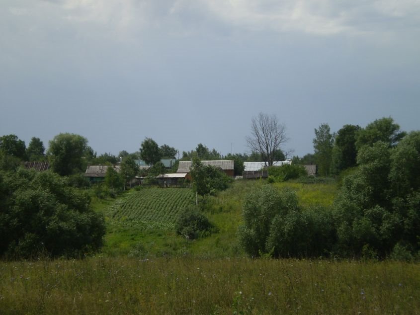 Милославские виды