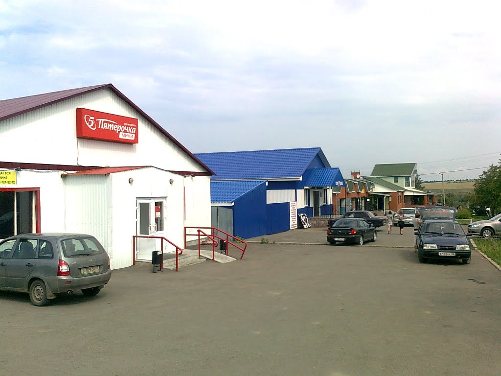 Магазины по ул.Ленина