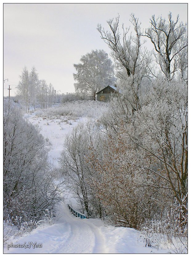Зима в Милославском - 2010 - Winter in Miloslavskoe