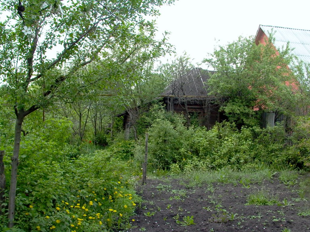 старый дом