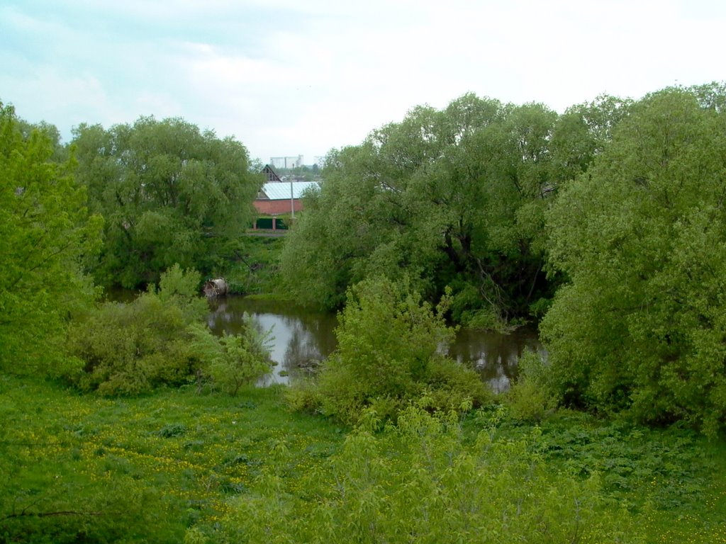 река Проня