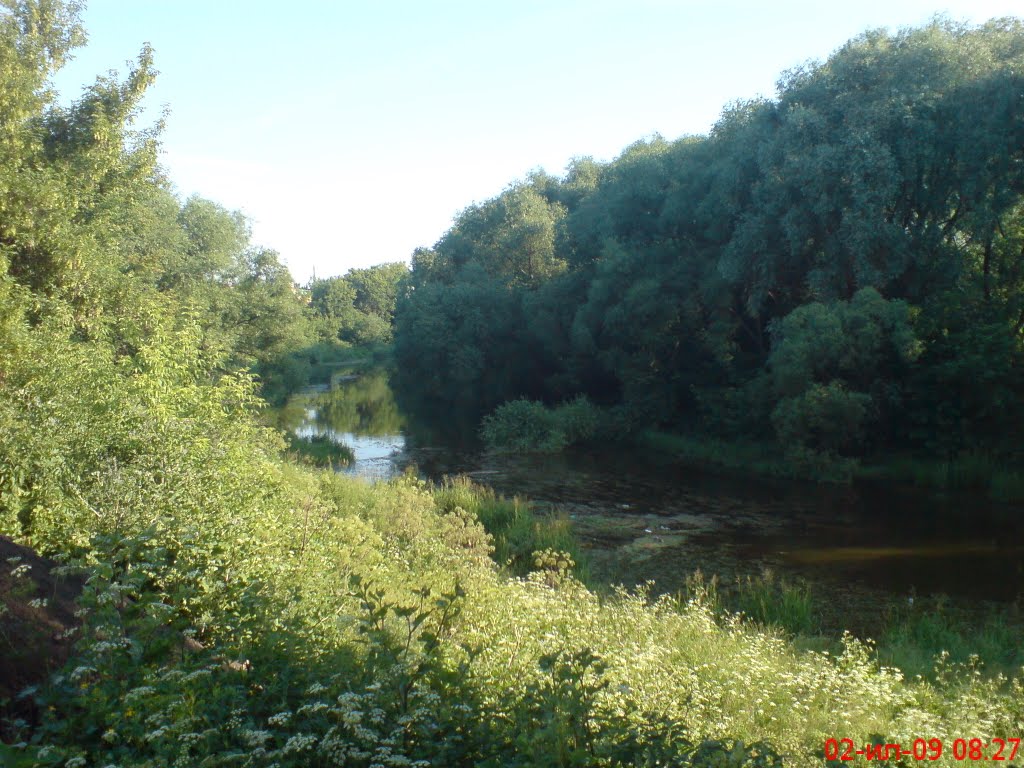 Проня р.