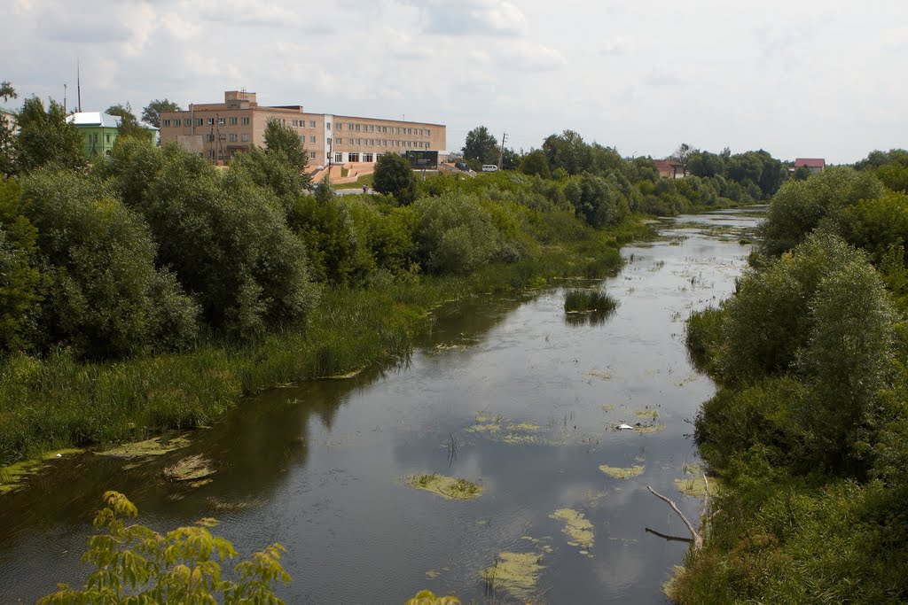 Проня в Михайлове