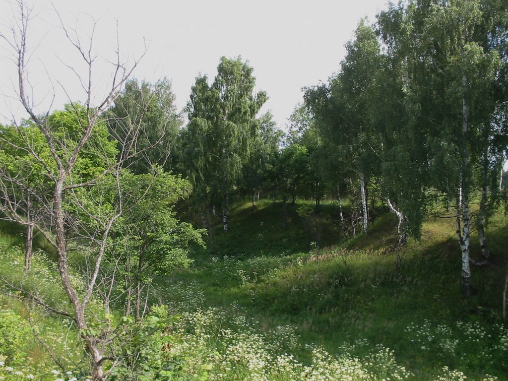 с.Пеньки, Могильный овраг.
